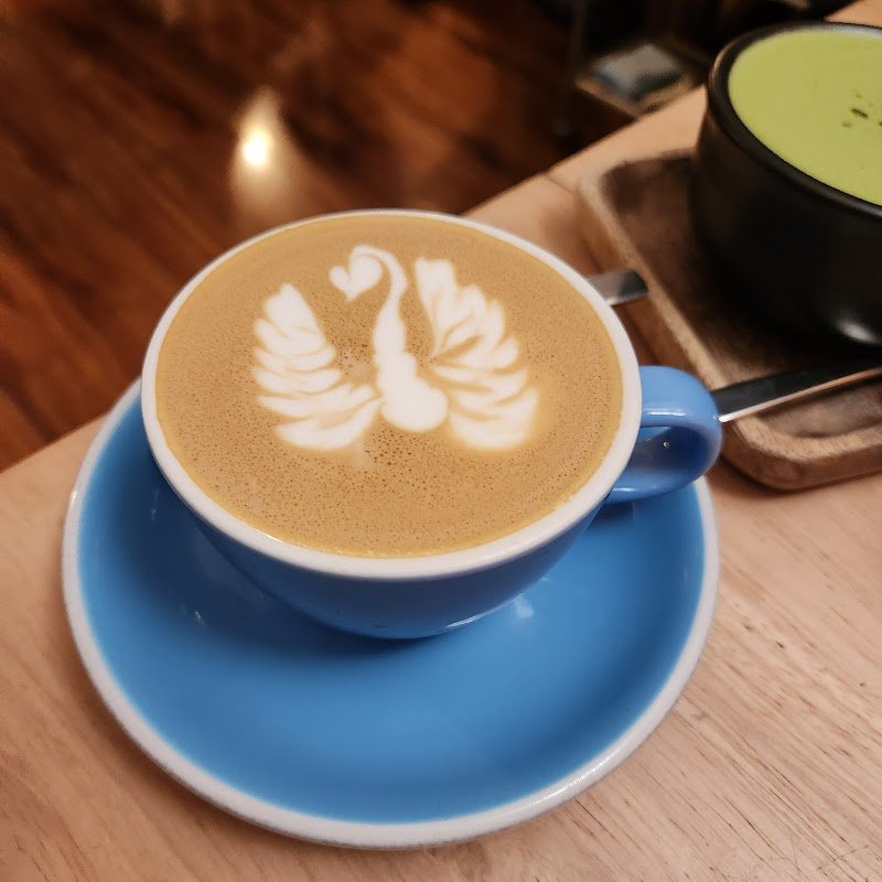 Little Rogue. photo 4